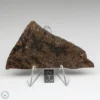 UNWA Meteorite Slice 41.3g