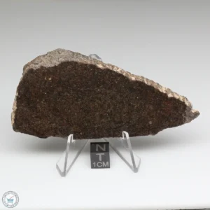 UNWA Meteorite Slice 44.2g