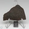 UNWA Meteorite Slice 19.6g