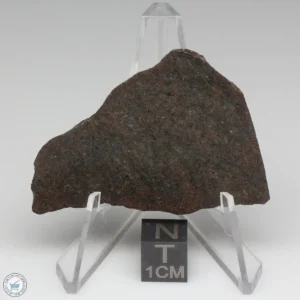 UNWA Meteorite Slice 19.6g