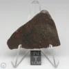 UNWA Meteorite Slice 17..3g