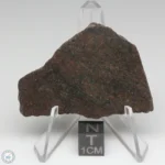 UNWA Meteorite Slice 22.3g