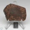 UNWA Meteorite Slice 23.0g