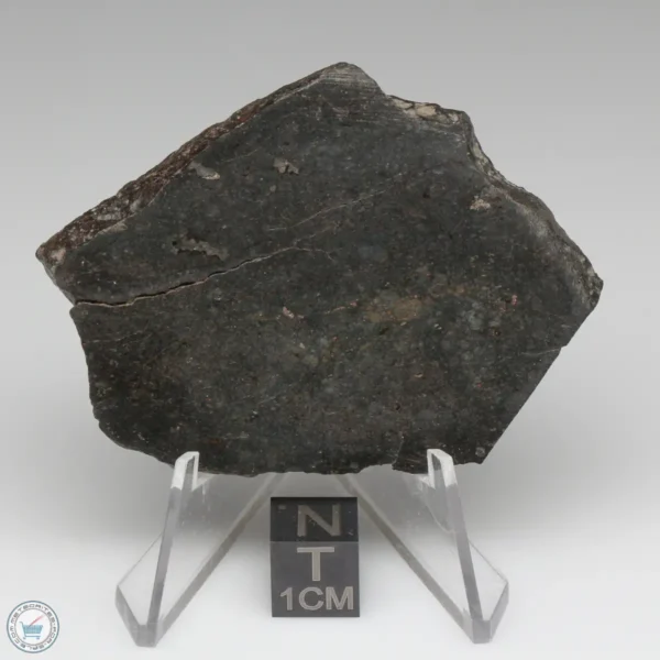 UNWA Meteorite Slice 31.3g