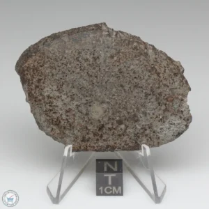 UNWA Meteorite Slice 34.0g