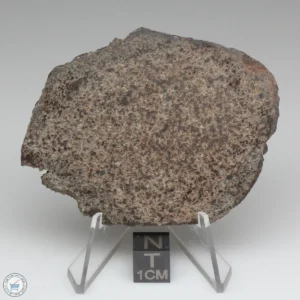 UNWA Meteorite Slice 44.4g