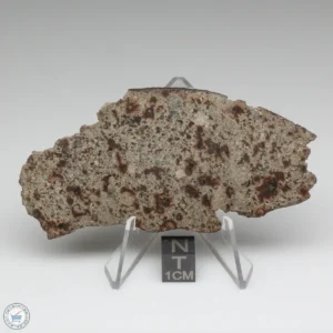 UNWA Meteorite Slice 39.1g