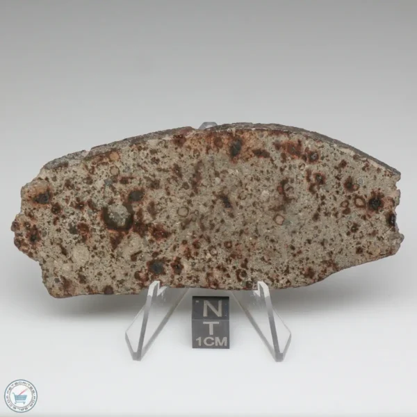 UNWA Meteorite Slice 53.8g