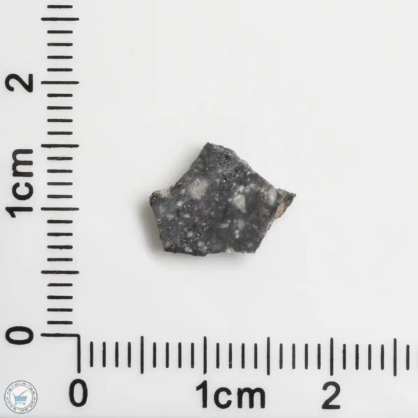 NWA 11474 Lunar Meteorite 0.29g