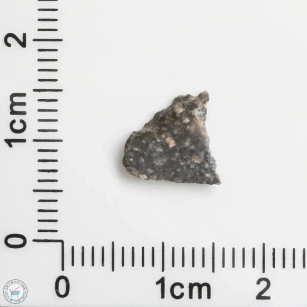 NWA 11474 Lunar Meteorite 0.24g