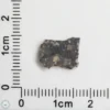 NWA 11474 Lunar Meteorite 0.42g