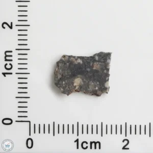 NWA 11474 Lunar Meteorite 0.42g