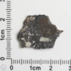 NWA 11474 Lunar Meteorite 1.24g