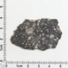 NWA 11474 Lunar Meteorite 4.12g