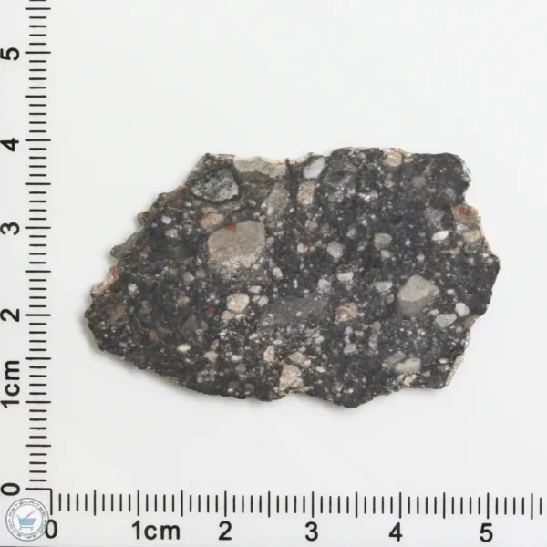 NWA 11474 Lunar Meteorite 4.12g