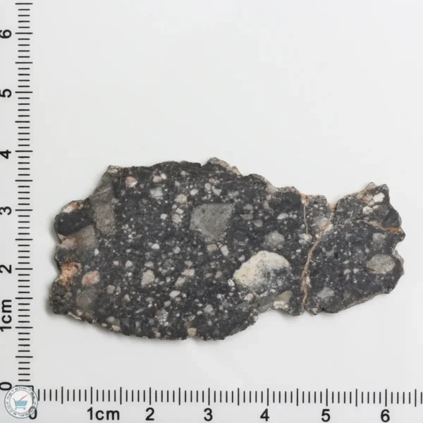 NWA 11474 Lunar Meteorite 5.98g