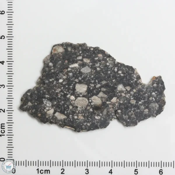 NWA 11474 Lunar Meteorite 4.78g