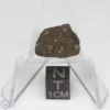 NWA 14353 CVred3 Meteorite 0.9g