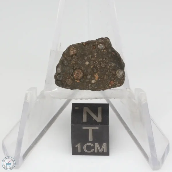 NWA 14353 CVred3 Meteorite 0.9g