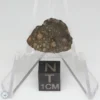 NWA 14353 CVred3 Meteorite 1.1g