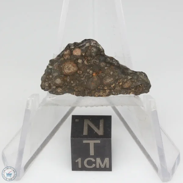 NWA 14353 CVred3 Meteorite 1.2g