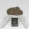 NWA 14353 CVred3 Meteorite 1.2g