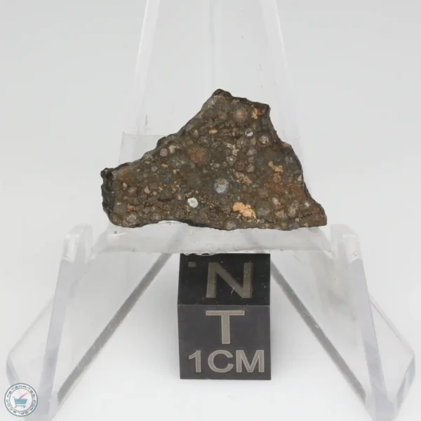 NWA 14353 CVred3 Meteorite 1.0g