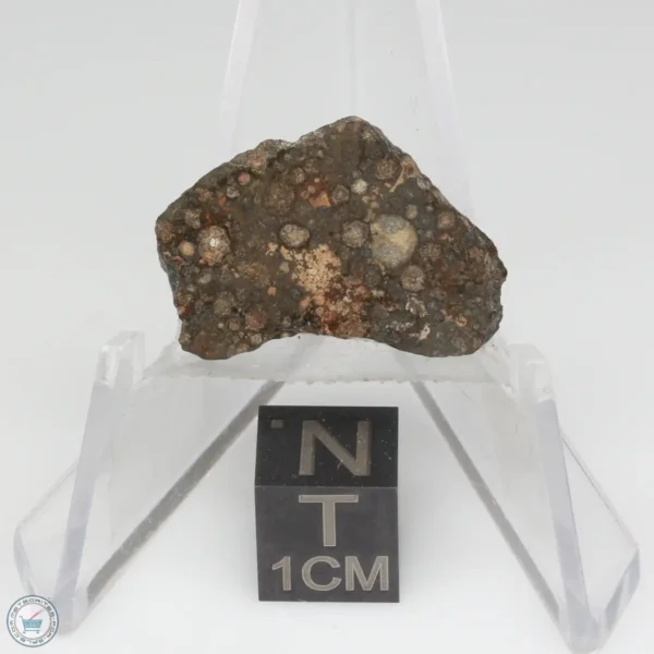 NWA 14353 CVred3 Meteorite 1.5g