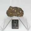 NWA 14353 CVred3 Meteorite 1.7g