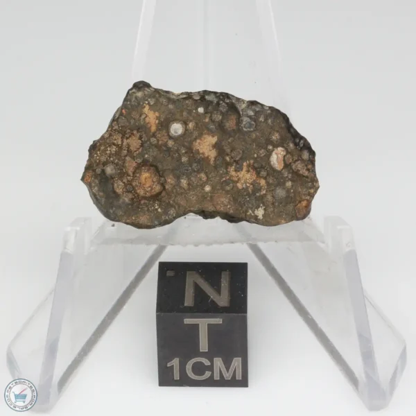 NWA 14353 CVred3 Meteorite 1.7g