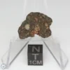 NWA 14353 CVred3 Meteorite 1.4g