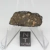 NWA 14353 CVred3 Meteorite 1.6g