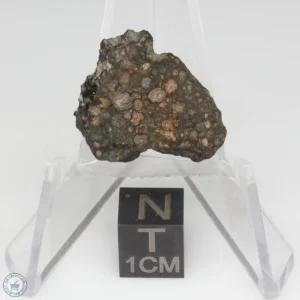 NWA 14353 CVred3 Meteorite 1.5g