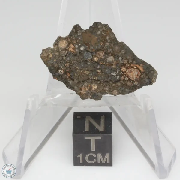 NWA 14353 CVred3 Meteorite 1.6g