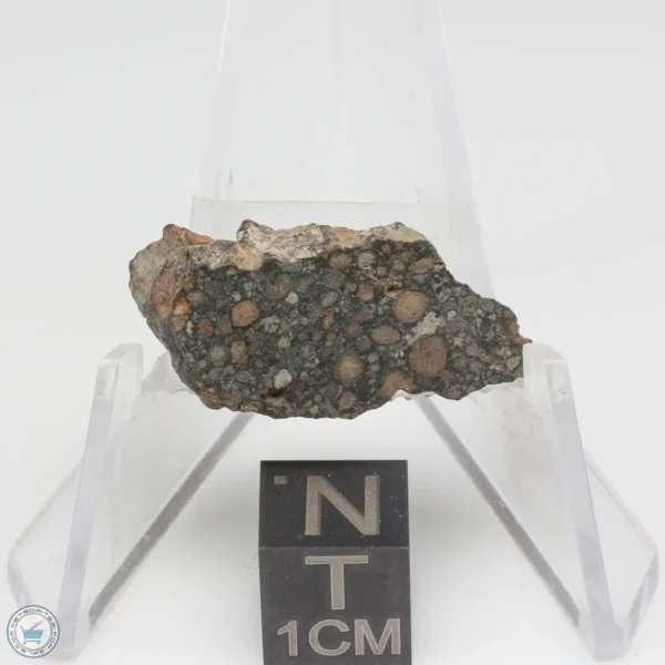 NWA 7454 Meteorite 4.6g End Cut