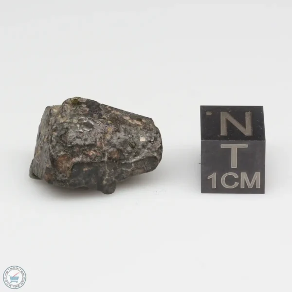 NWA 7454 Meteorite 5.1g End Cut