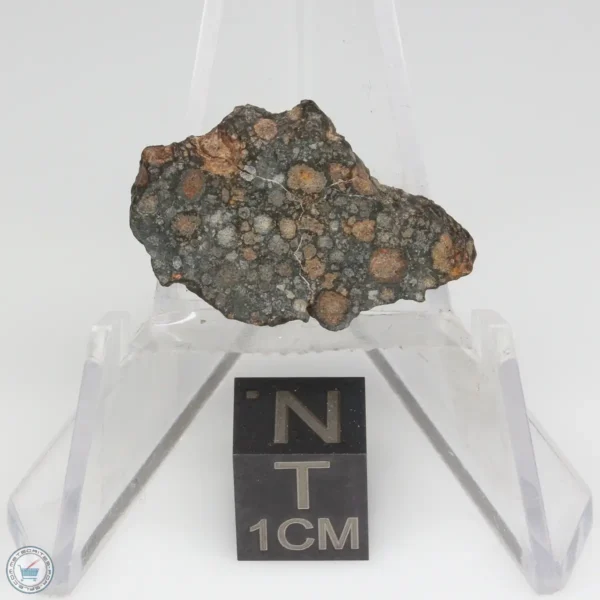 NWA 7454 Meteorite 1.9g