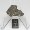 NWA 7454 Meteorite 2.2g