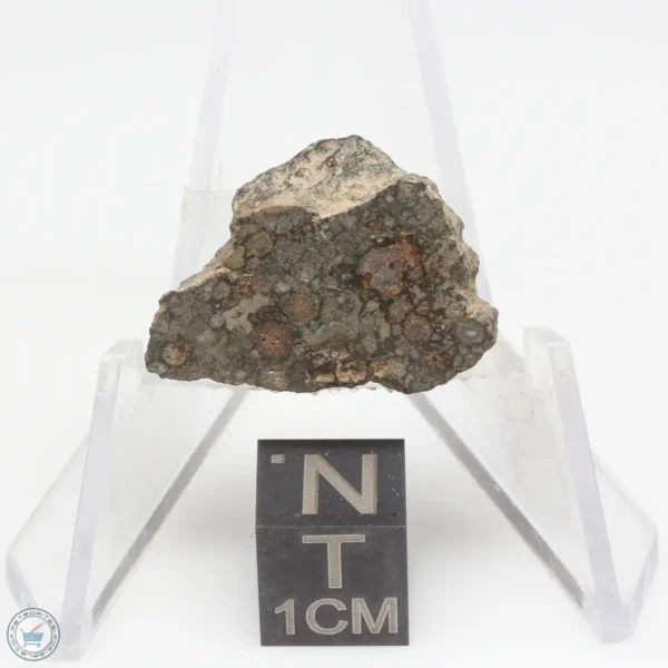 NWA 7454 Meteorite 4.1g End Cut