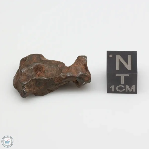 Agoudal Meteorite 10.9g