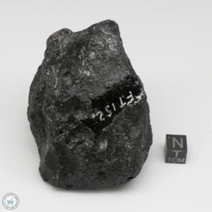 Muong Nong Tektite 303g