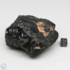 Muong Nong Tektite 261g