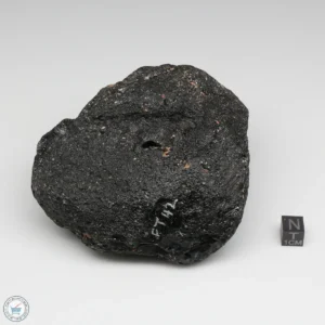 Muong Nong Tektite 614g