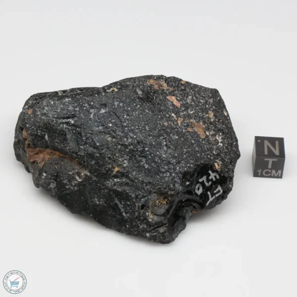 Muong Nong Tektite 146g