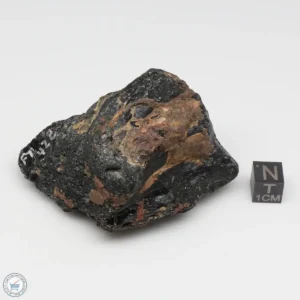 Muong Nong Tektite 124g