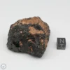 Muong Nong Tektite 107g