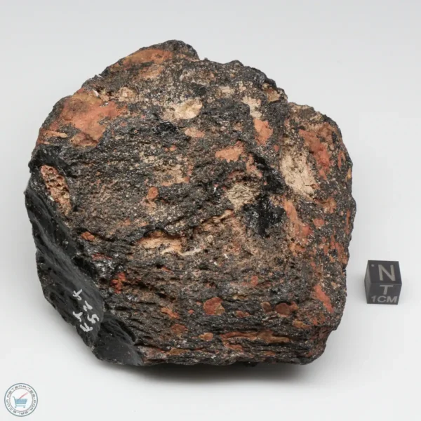 Muong Nong Tektite 644g