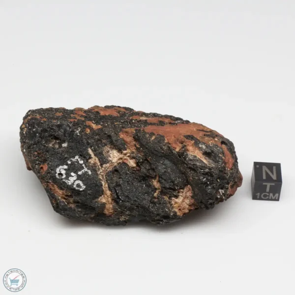 Muong Nong Tektite 131g