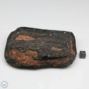 Muong Nong Tektite 513g