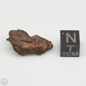 Henbury Iron Meteorite 8.5g